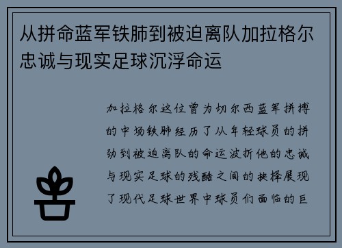 从拼命蓝军铁肺到被迫离队加拉格尔忠诚与现实足球沉浮命运 从拼命蓝军铁肺到被迫离队加拉格尔忠诚与现实足球沉浮命运